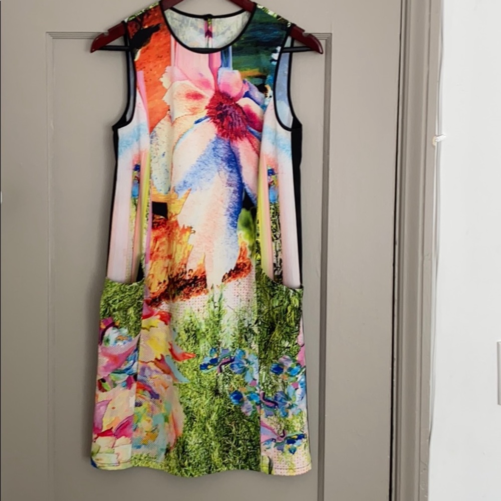 Clover Canyon sleeveless dress